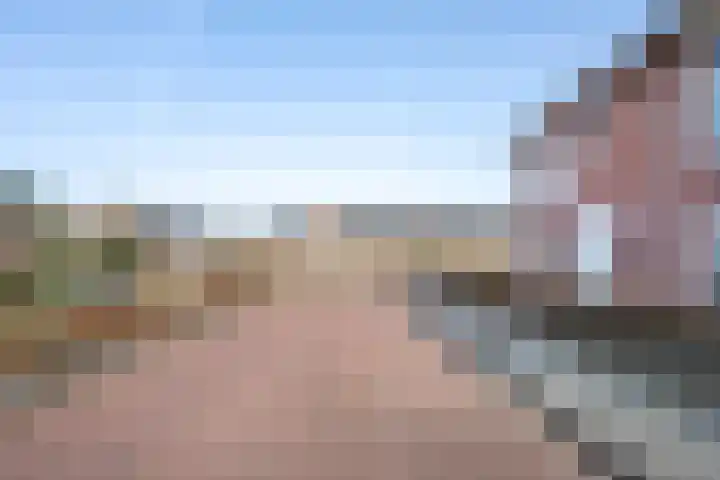 Helmkruid 6 Brummen thumbnail 38