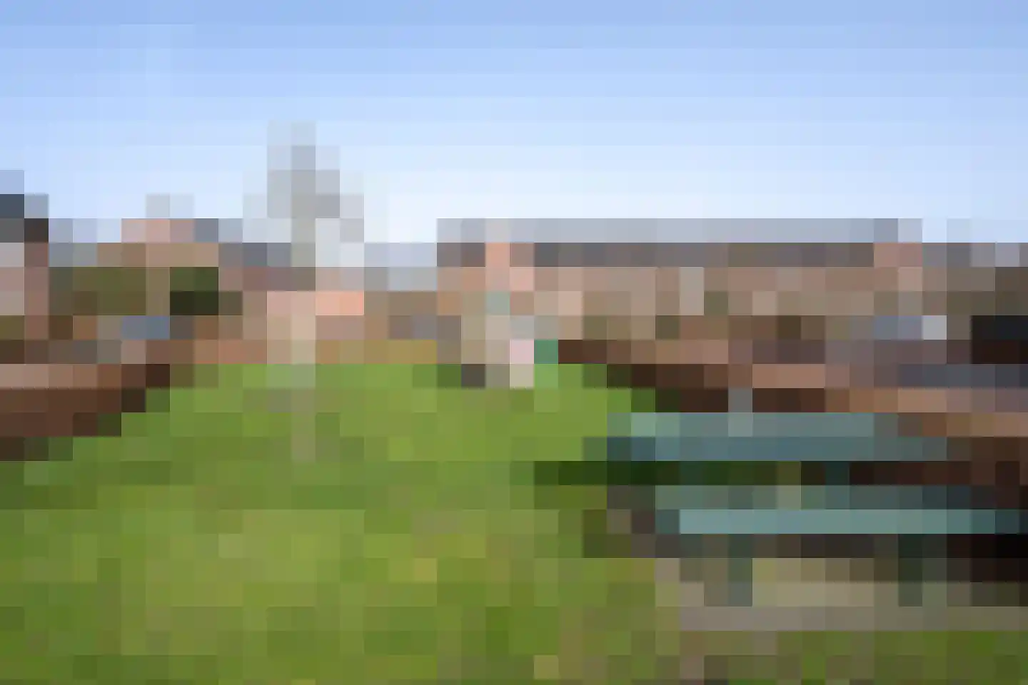 Helmkruid 6 Brummen thumbnail 39