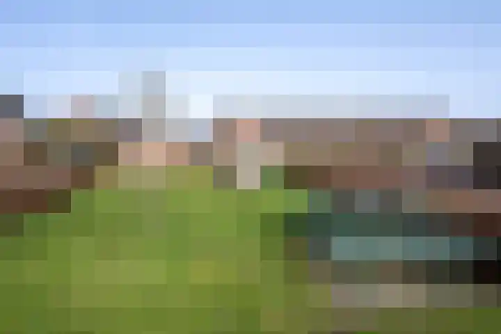 Helmkruid 6 Brummen thumbnail 39