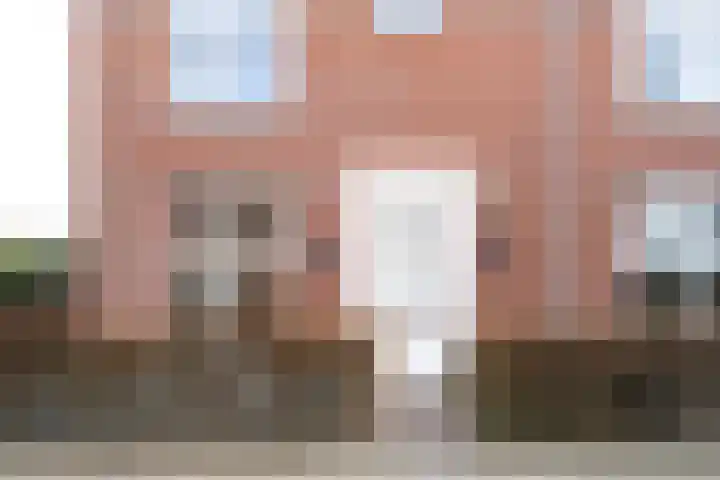 Helmkruid 6 Brummen thumbnail 40