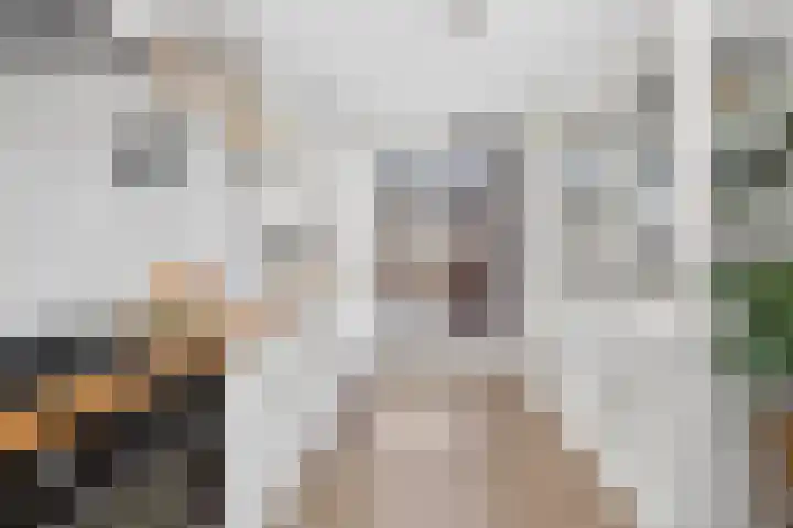 Helmkruid 6 Brummen thumbnail 9