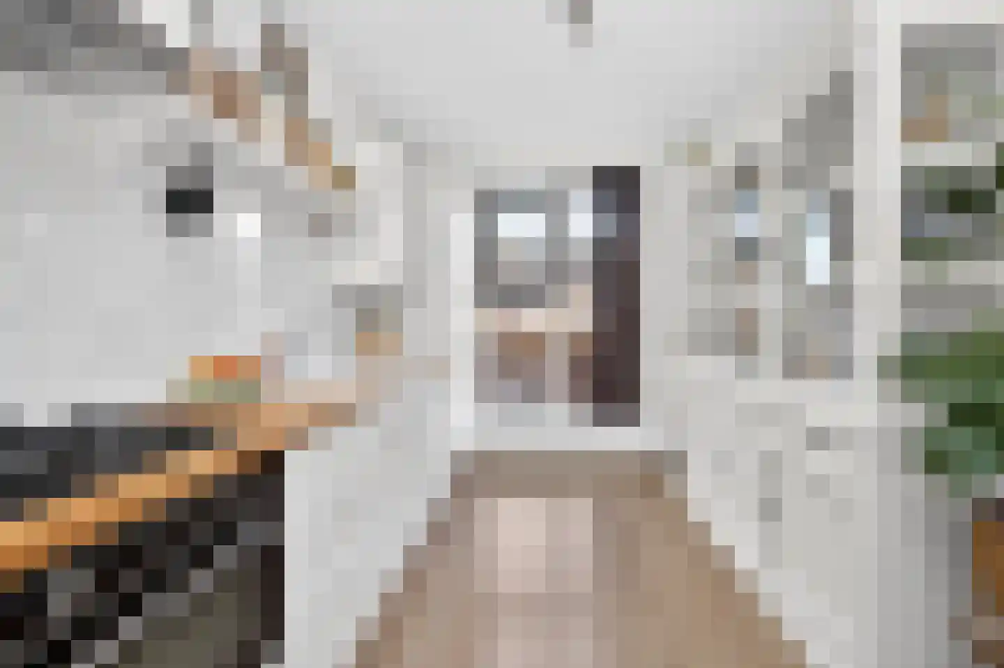 Helmkruid 6 Brummen thumbnail 9