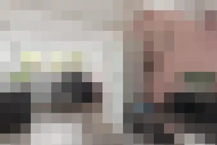 Helmkruid 7 Oldenzaal thumbnail 16