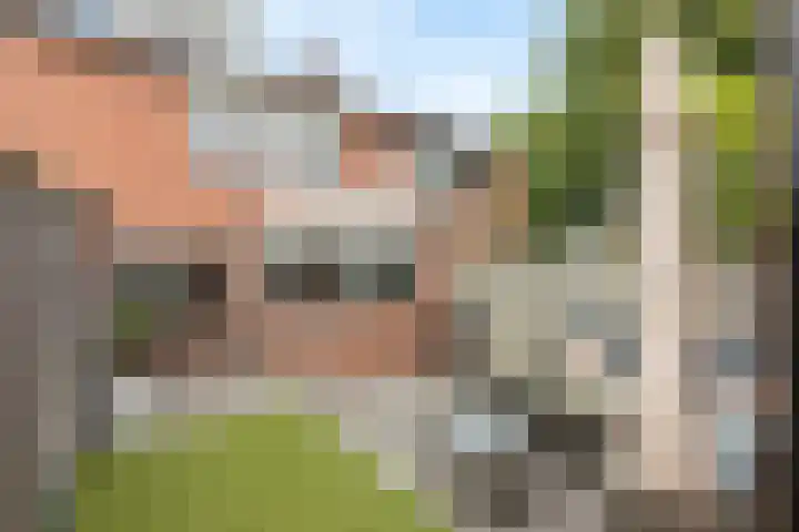 Helmkruid 7 Oldenzaal thumbnail 17