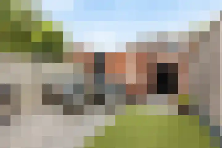 Helmkruid 7 Oldenzaal thumbnail 18