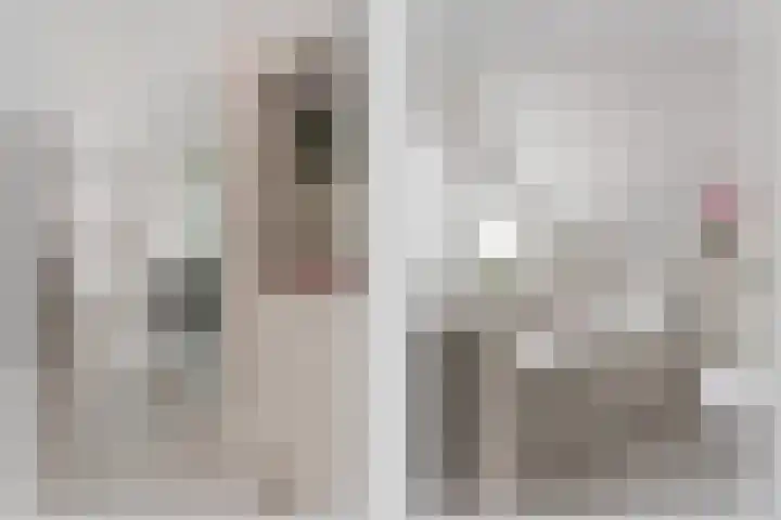Helmkruid 7 Oldenzaal thumbnail 4
