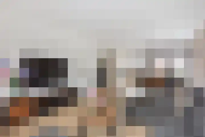 Helmkruid 7 Oldenzaal thumbnail 8