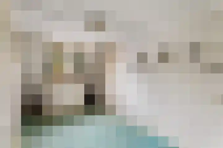 Helmkruidlaan 3 Nijverdal thumbnail 13