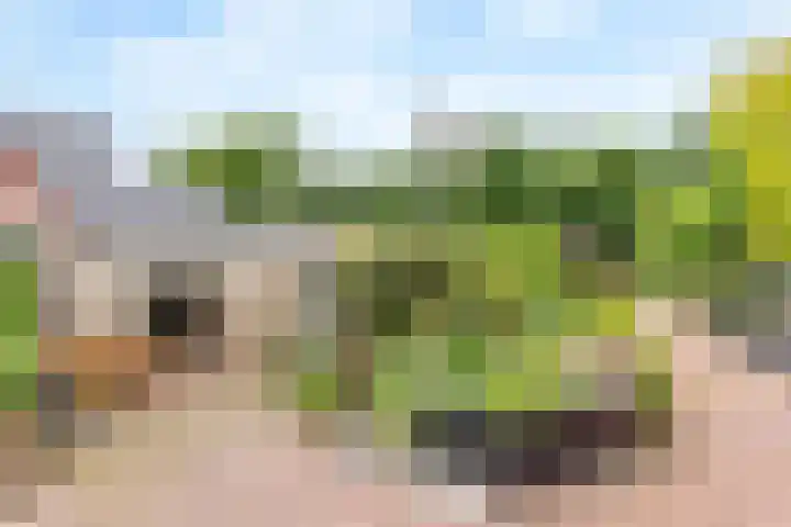 Helmkruidlaan 3 Nijverdal thumbnail 15