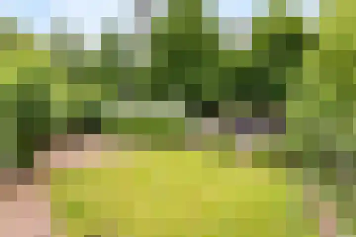 Helmkruidlaan 3 Nijverdal thumbnail 16