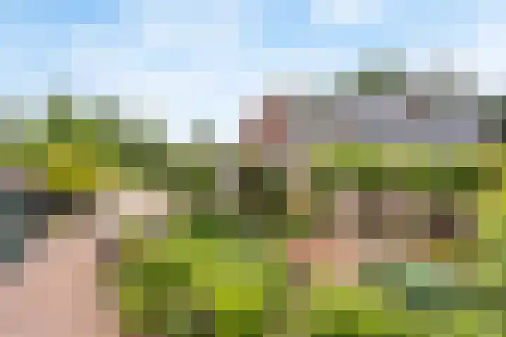 Helmkruidlaan 3 Nijverdal thumbnail 4