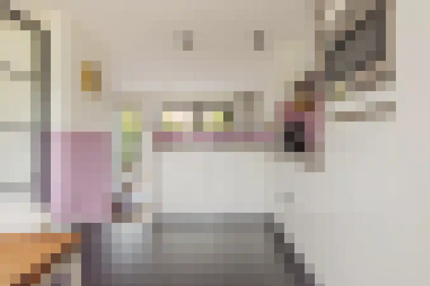 Helmkruidstraat 37 Arnhem thumbnail 14
