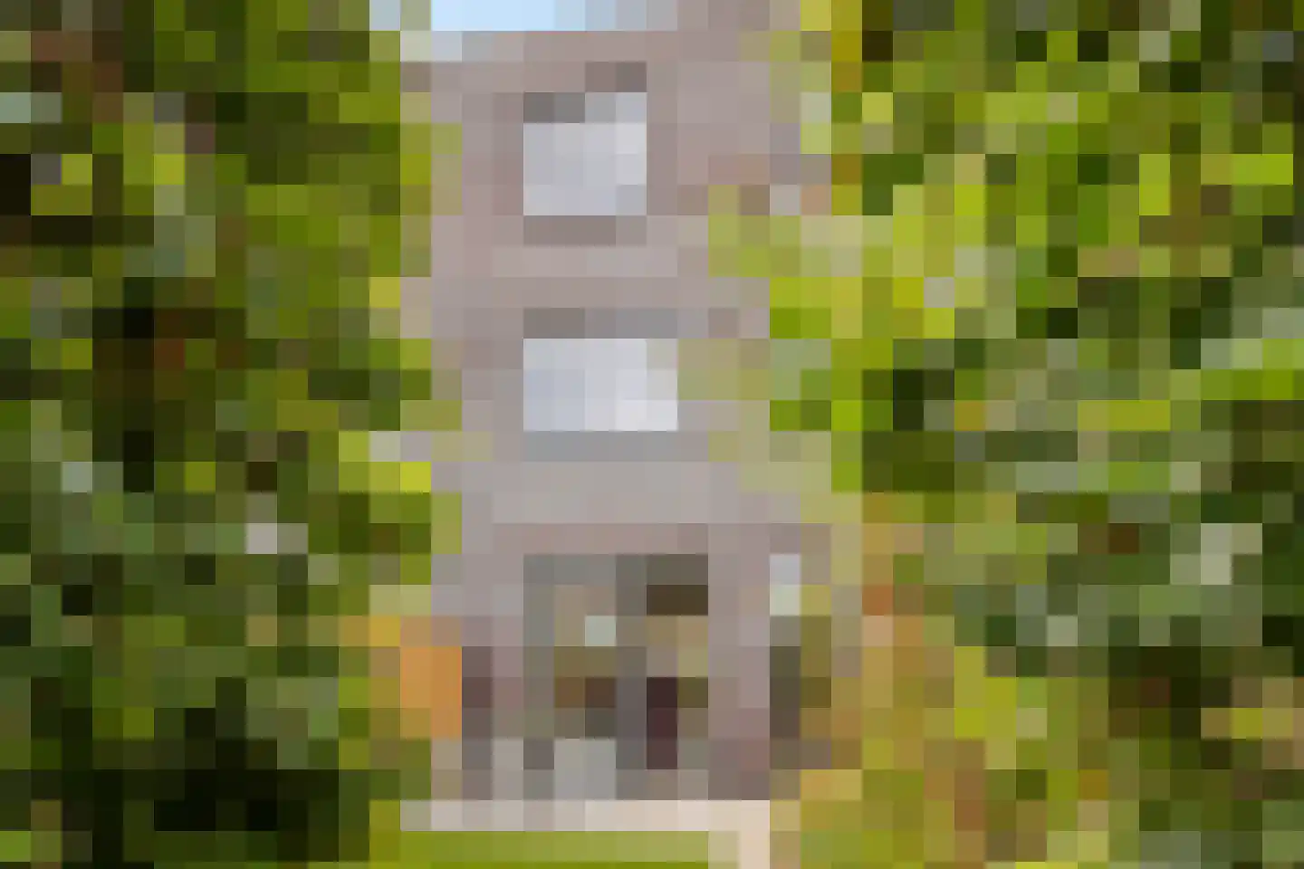 Helmkruidstraat 37 Arnhem thumbnail 31