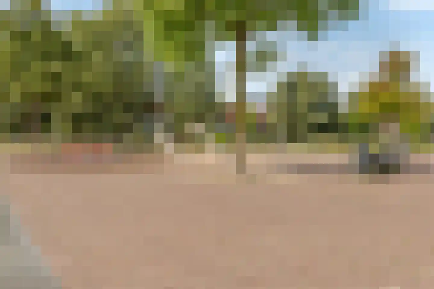 Helmkruidstraat 37 Arnhem thumbnail 40
