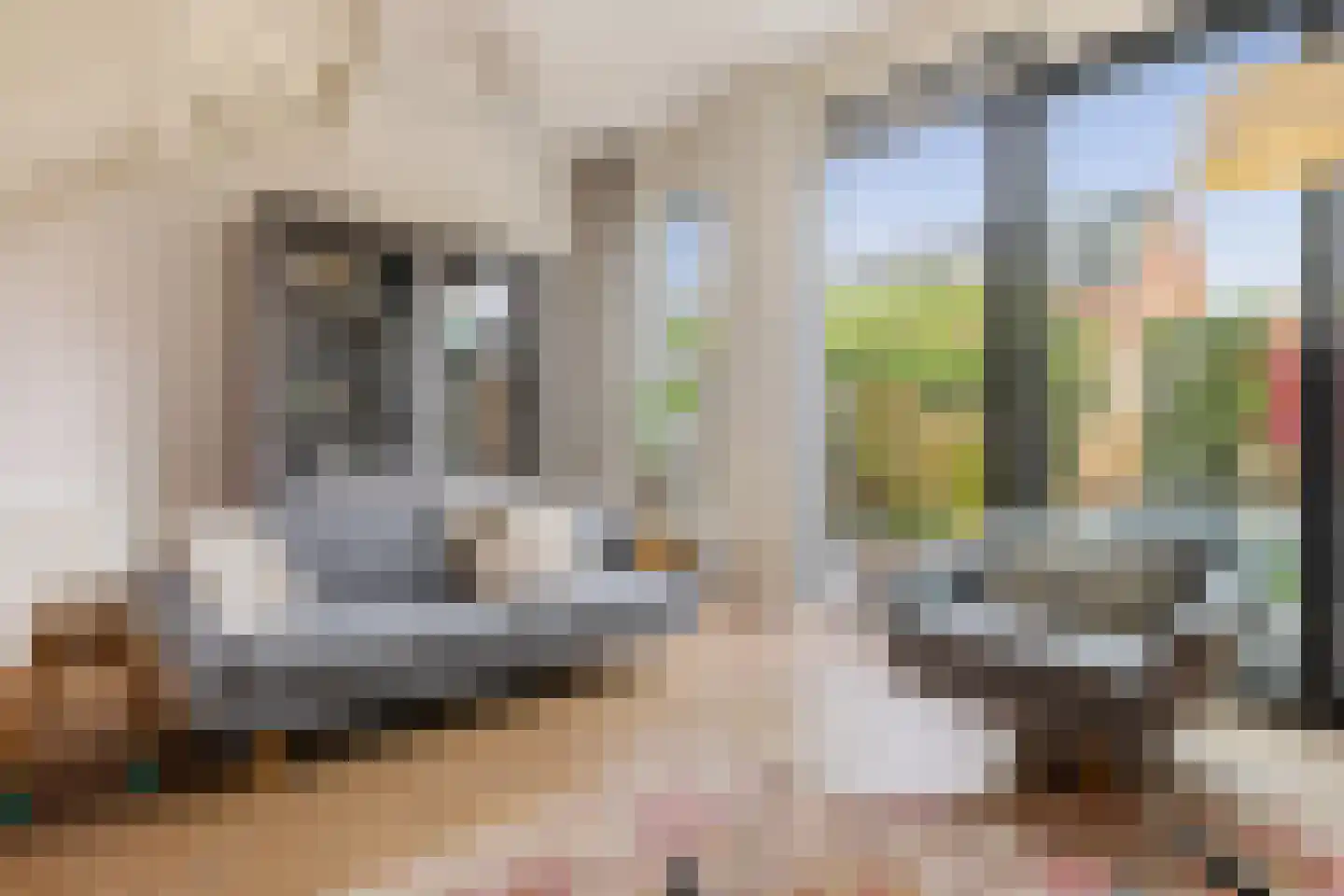 Helmkruidstraat 37 Arnhem thumbnail 7