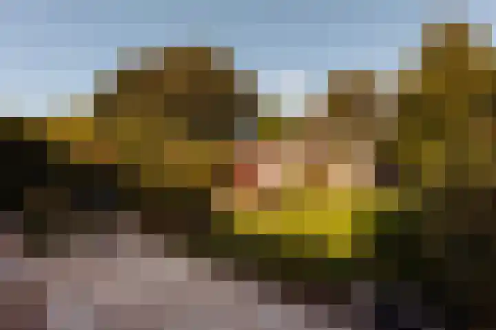 Helmlaan 13 Wassenaar thumbnail 18