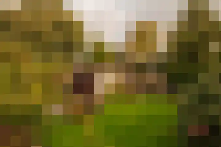 Helmlaan 13 Wassenaar thumbnail 19