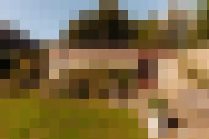 Helmlaan 13 Wassenaar thumbnail 20