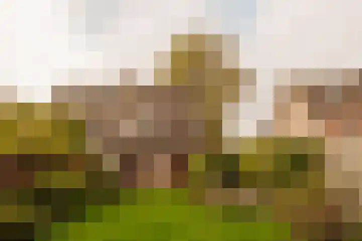 Helmlaan 13 Wassenaar thumbnail 22