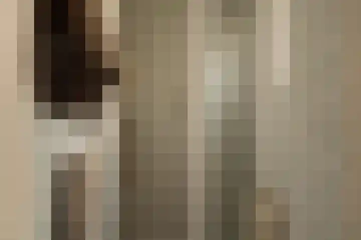 Helmlaan 13 Wassenaar thumbnail 30