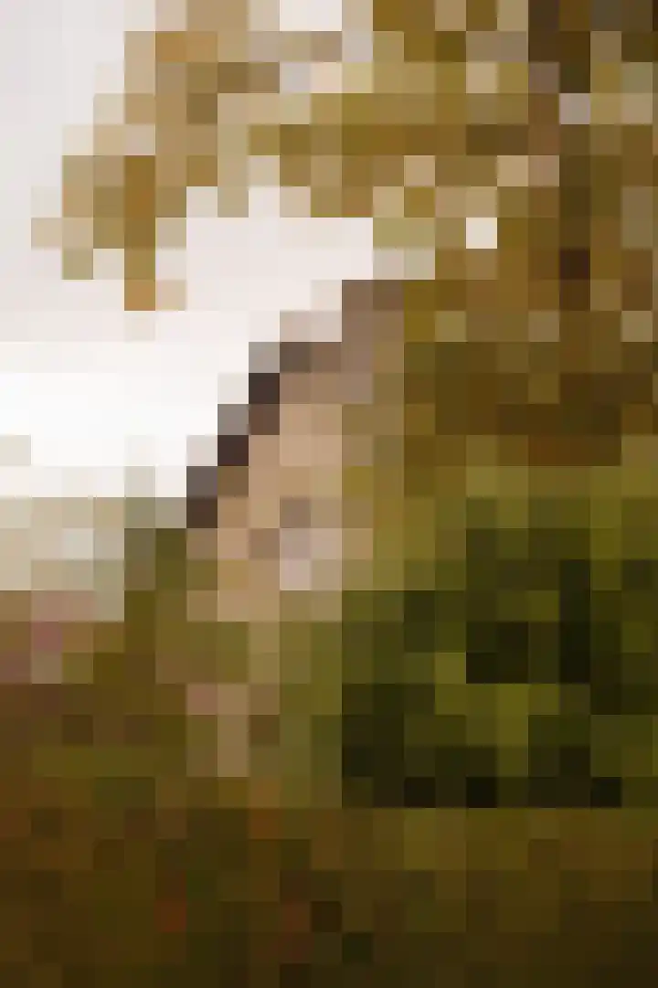 Helmlaan 13 Wassenaar thumbnail 43