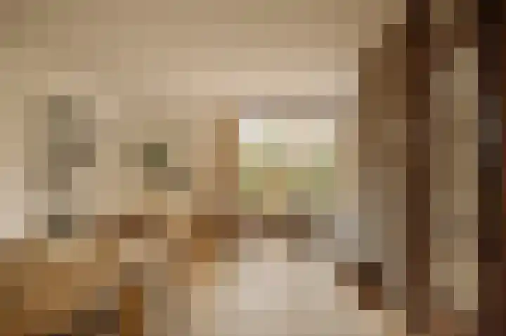 Helmlaan 13 Wassenaar thumbnail 7