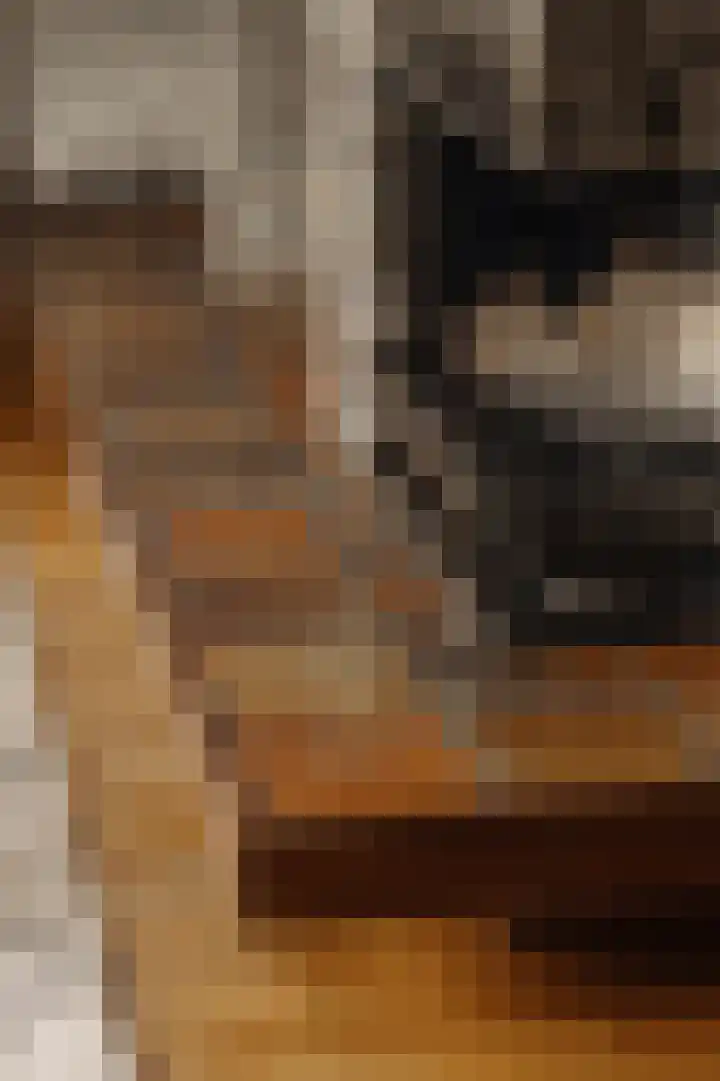 Helmlaan 13 Wassenaar thumbnail 9