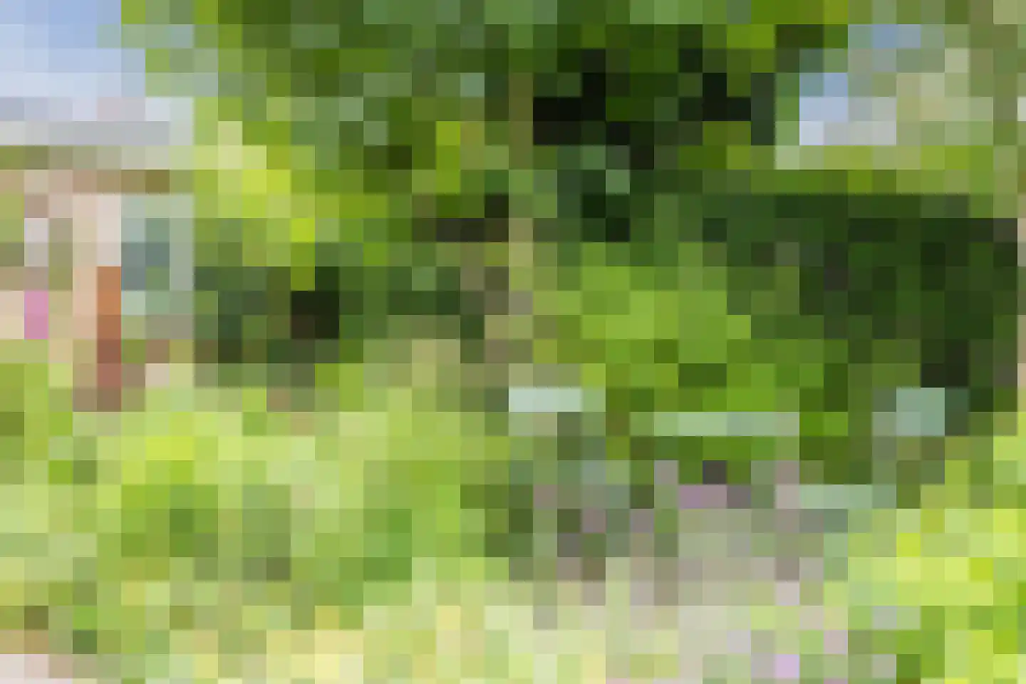 Helmlaan 25 Haarlem thumbnail 22
