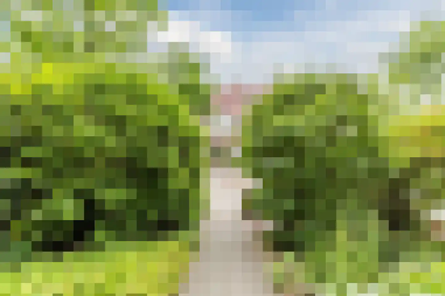 Helmlaan 25 Haarlem thumbnail 63