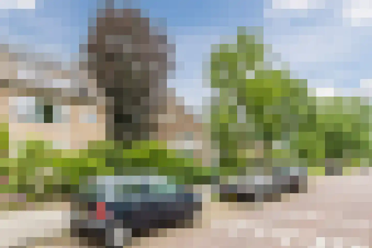 Helmlaan 25 Haarlem thumbnail 65