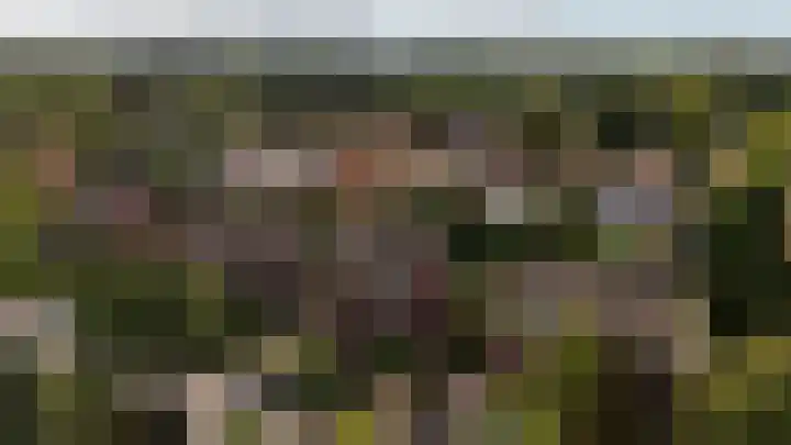 Helmlaan 6 in Wassenaar