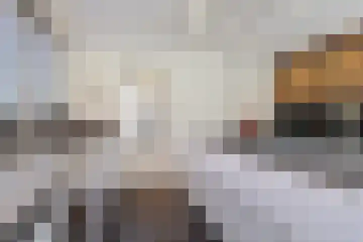 Helmlaan 6 Wassenaar thumbnail 17