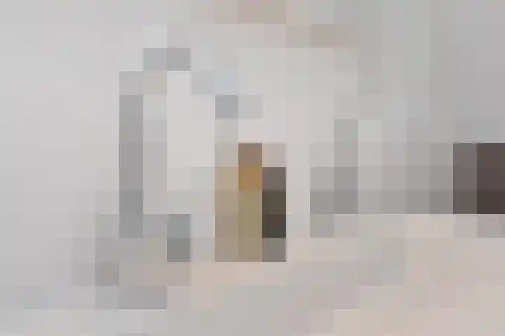 Helmlaan 6 Wassenaar thumbnail 31