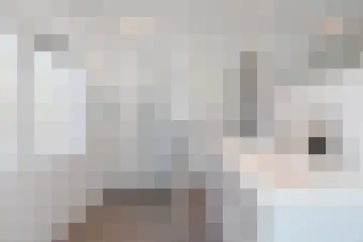 Helmlaan 6 Wassenaar thumbnail 32