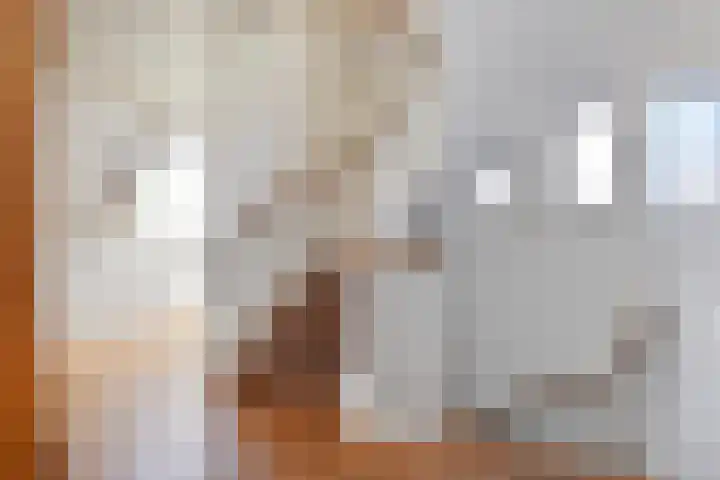 Helmlaan 6 Wassenaar thumbnail 38