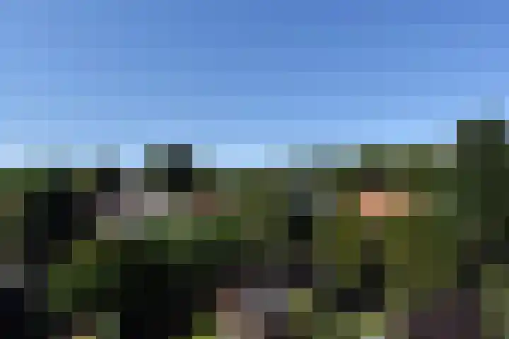 Helmlaan 6 Wassenaar thumbnail 46