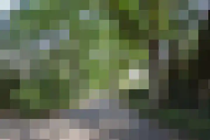 Helmlaan 6 Wassenaar thumbnail 47