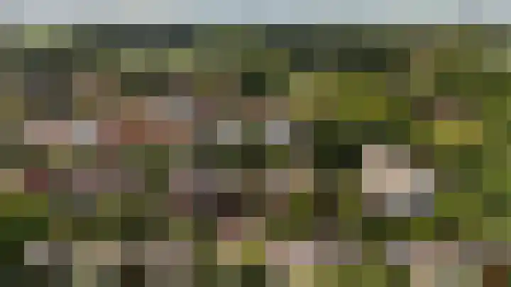 Helmlaan 6 Wassenaar thumbnail 48
