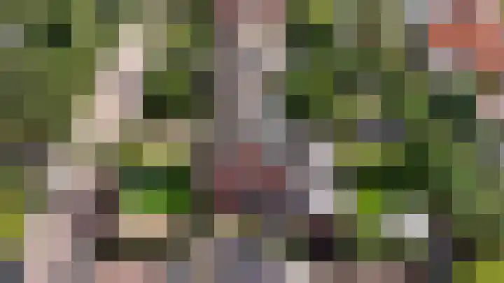 Helmlaan 6 Wassenaar thumbnail 49