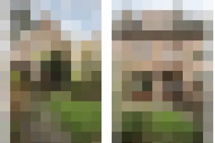 Helmlaan 7 Haarlem thumbnail 12