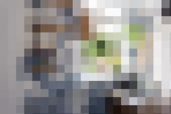 Helmondselaan 21 Helmond thumbnail 10