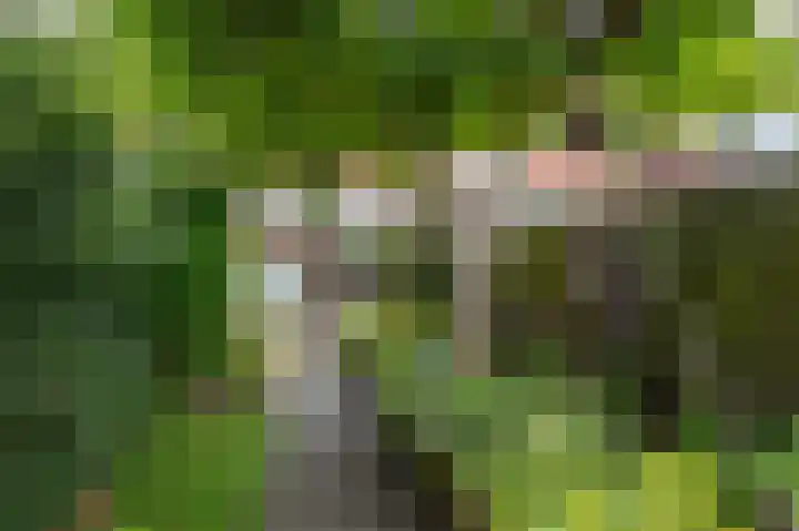 Helmondselaan 21 Helmond thumbnail 18