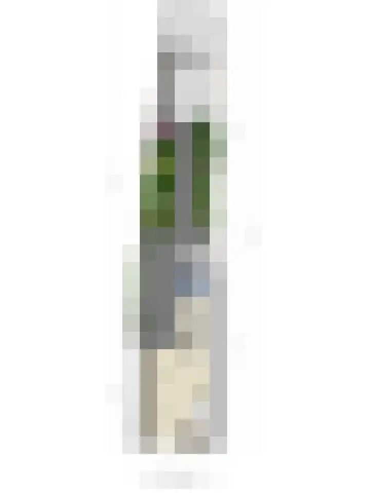 Helmondselaan 21 Helmond thumbnail 31