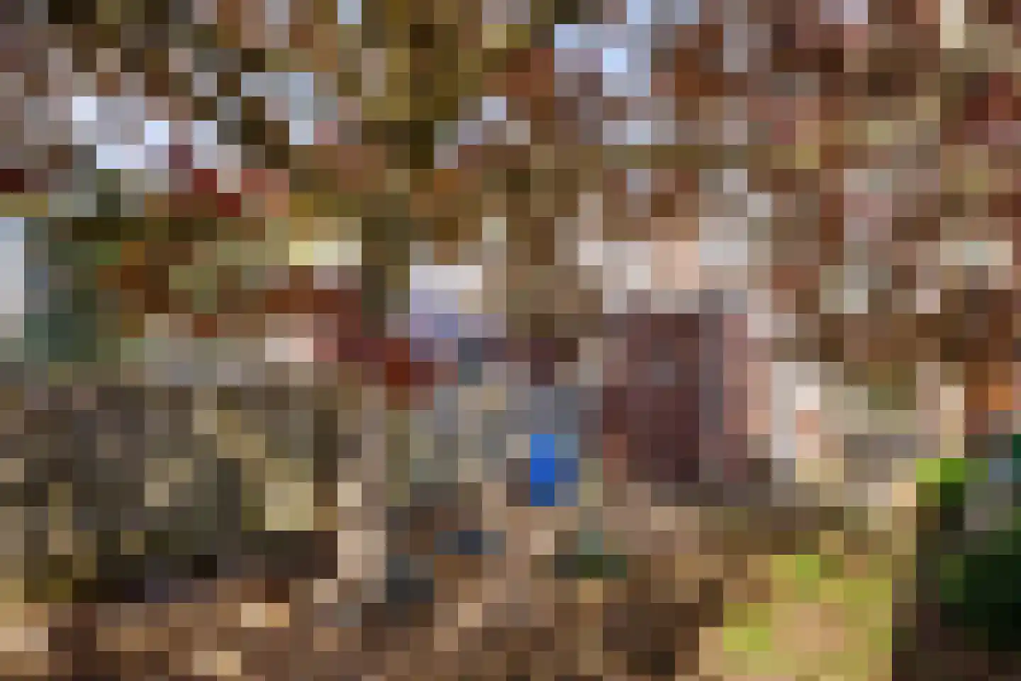 Helmondselaan 37 Helmond thumbnail 6