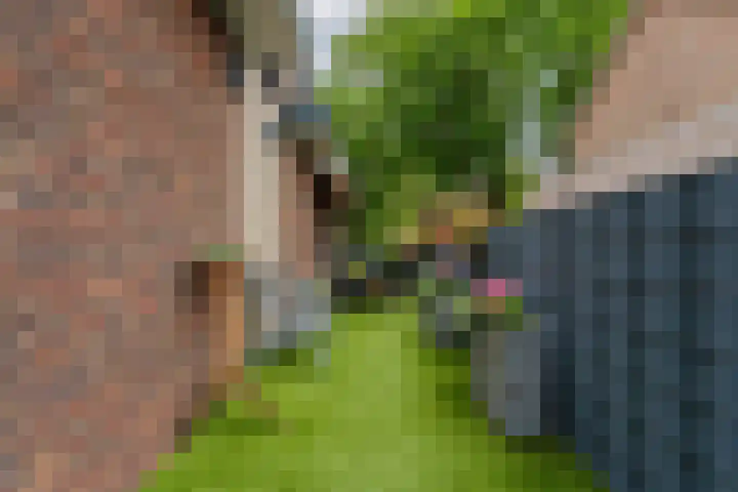 Helmondsestraat 33 A Bakel thumbnail 29