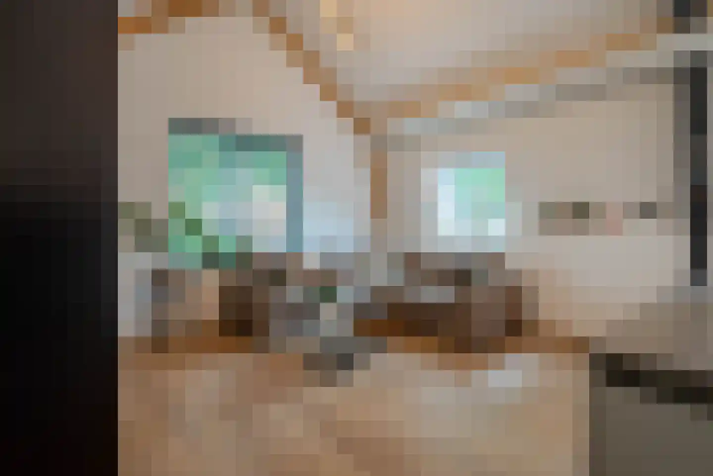 Helmondsestraat 33 d Bakel thumbnail 11