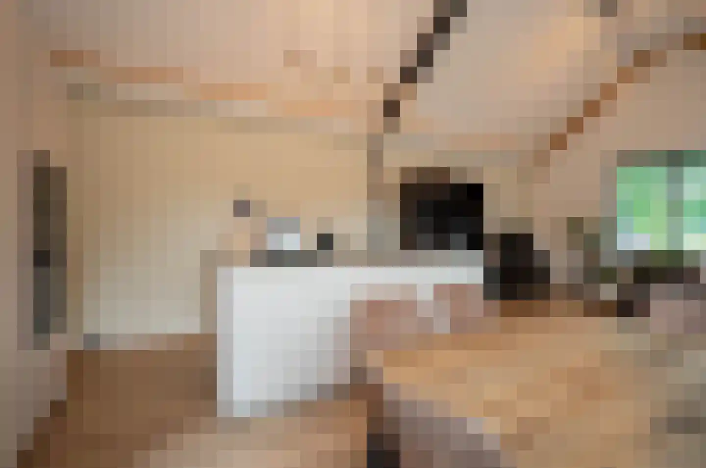 Helmondsestraat 33 d Bakel thumbnail 14