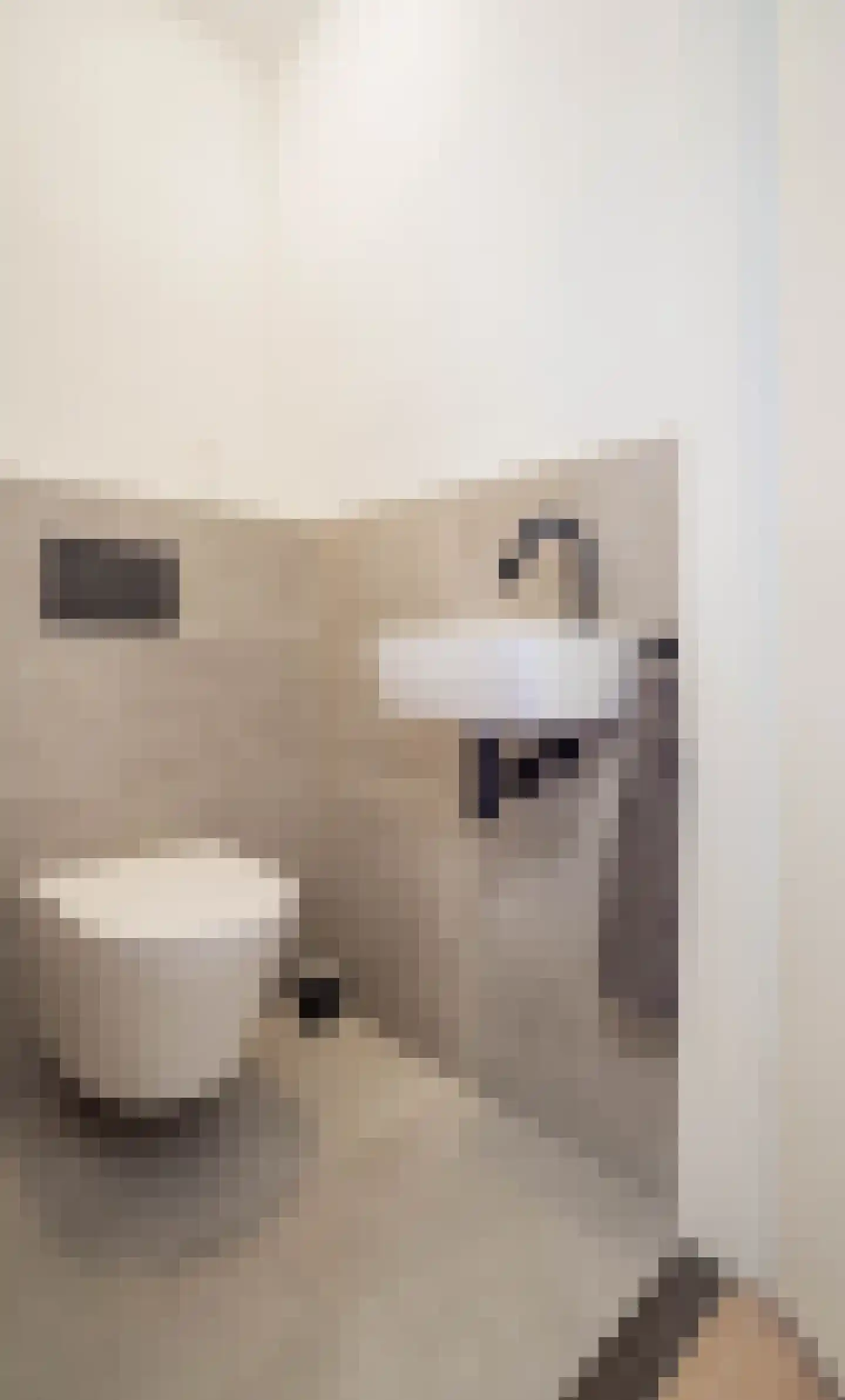 Helmondsestraat 33 d Bakel thumbnail 30