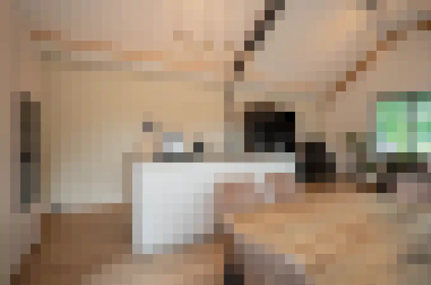 Helmondsestraat 33 d Bakel thumbnail 4