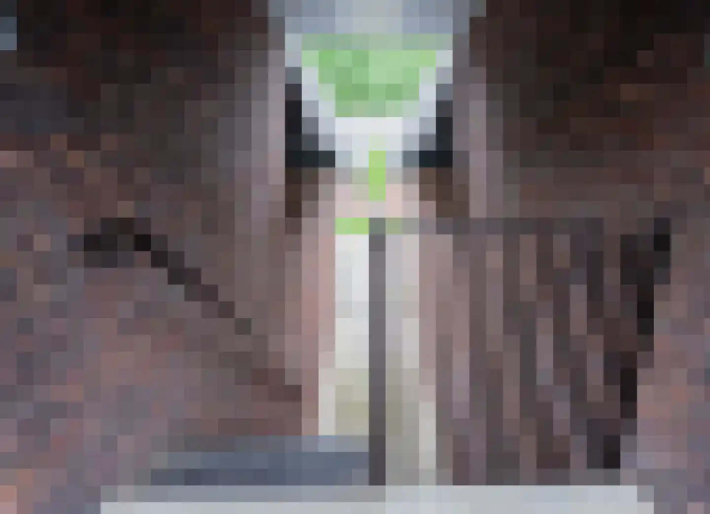 Helmondsestraat 33 d Bakel thumbnail 7